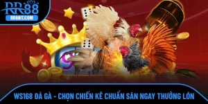 WS168 Đá gà